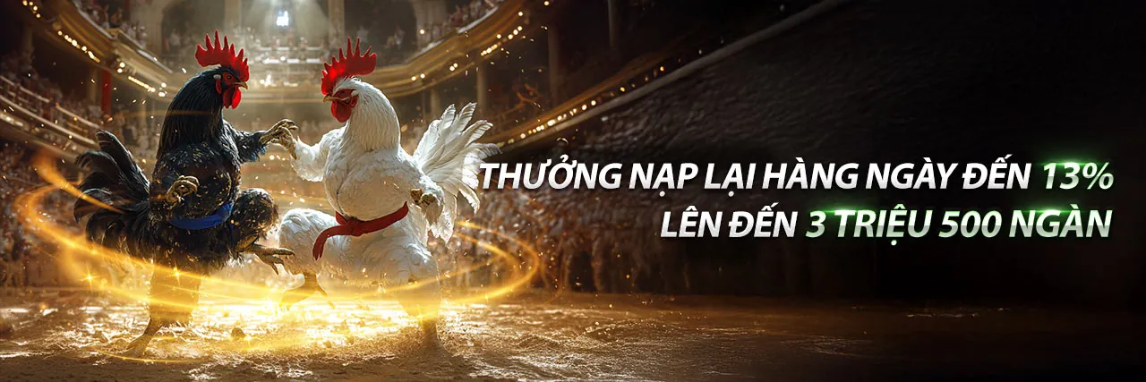 Đá Gà Thomo 7 7 2023 - Sân đấu kịch tính